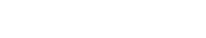 蓮根餃子