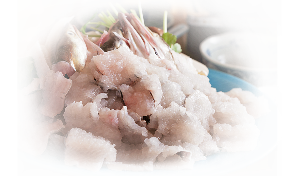 寝屋川で美味しい活イカや鱧に舌鼓 お刺身がうまい