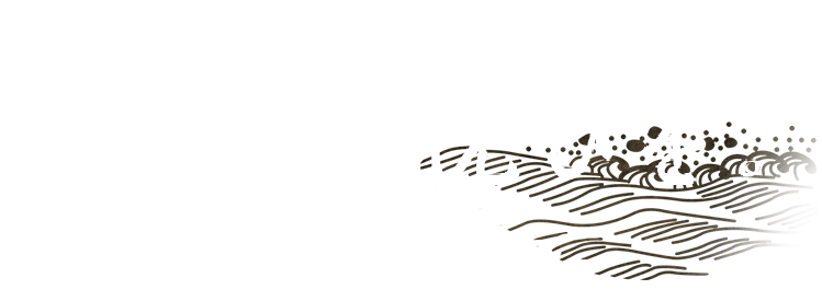 好きに楽しむ悦びを。